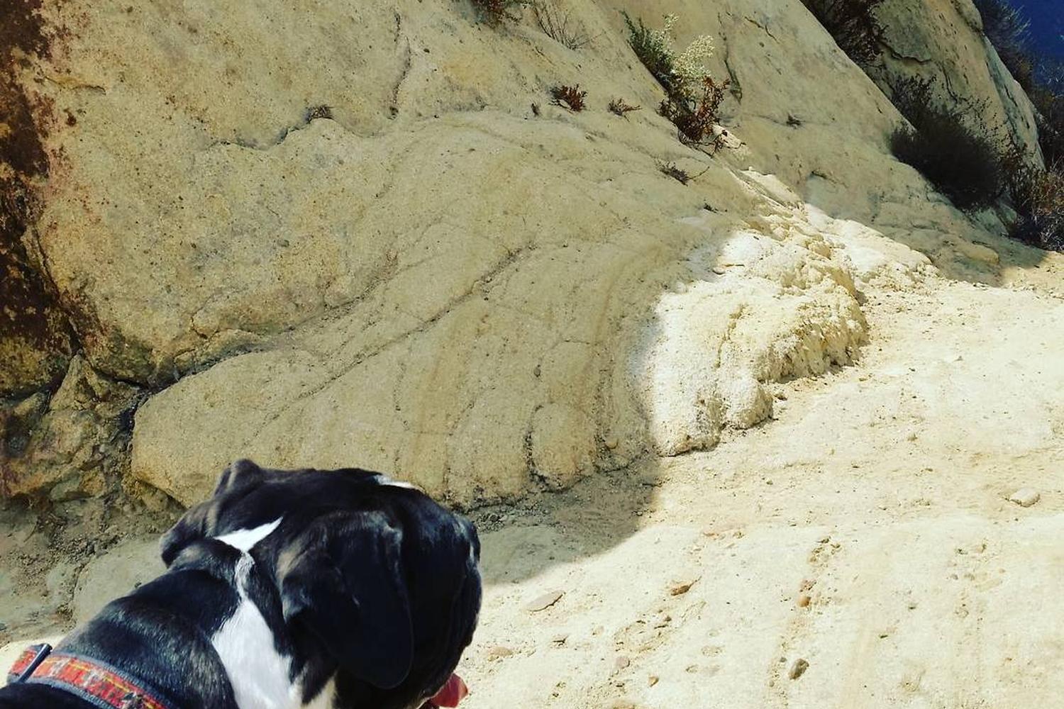 Stunt High Trail to Saddle Peak 6