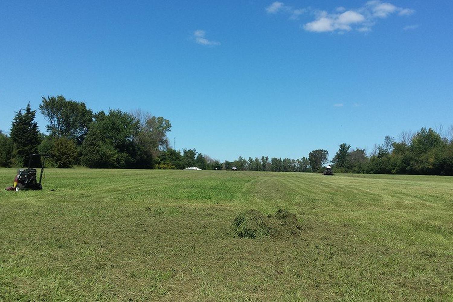 Woodland Meadow Park Dog Park 7