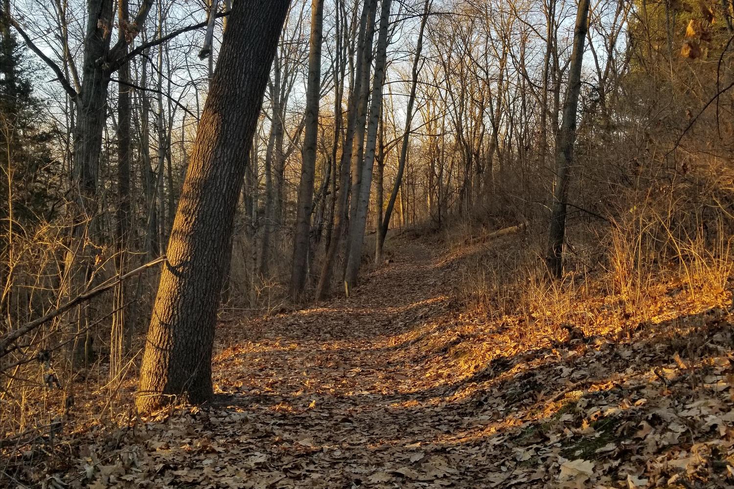 Ox Bow Park 1