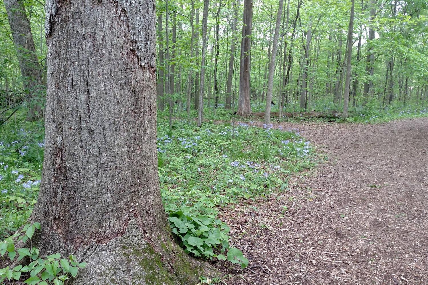 Ox Bow Park 7