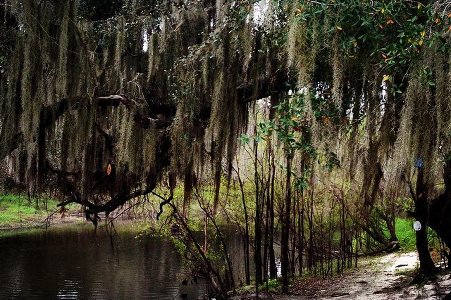 Canoe Outpost-Peace River 3