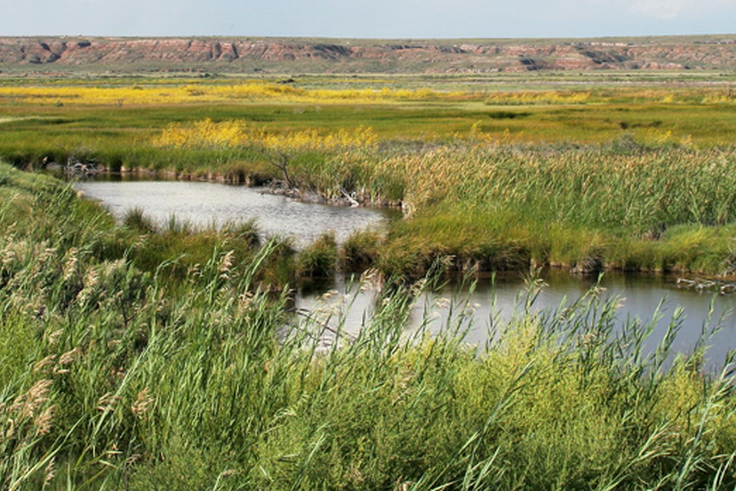 Bitter Lake National Wildlife Refuge 3