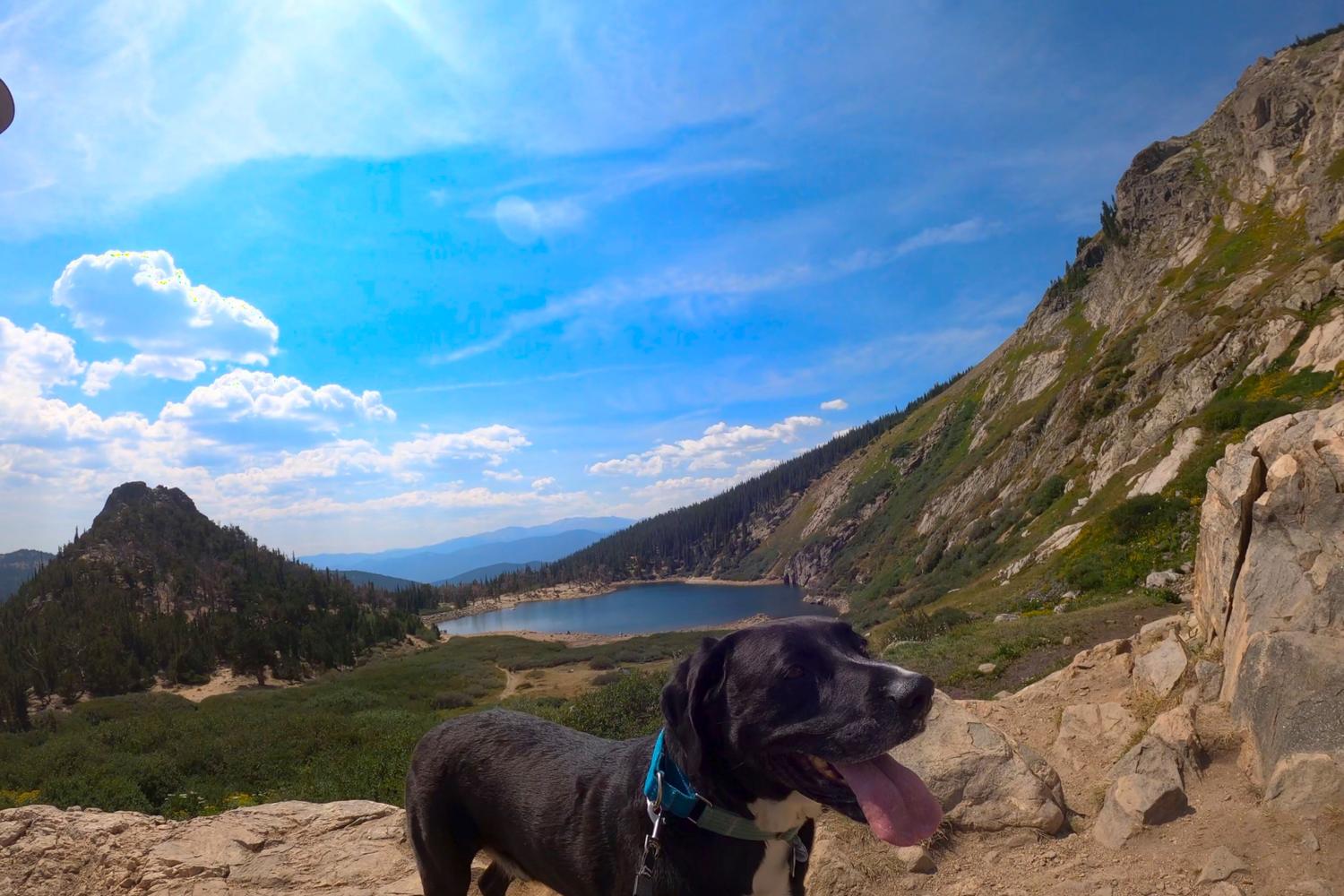 St. Mary's Glacier Trail 3