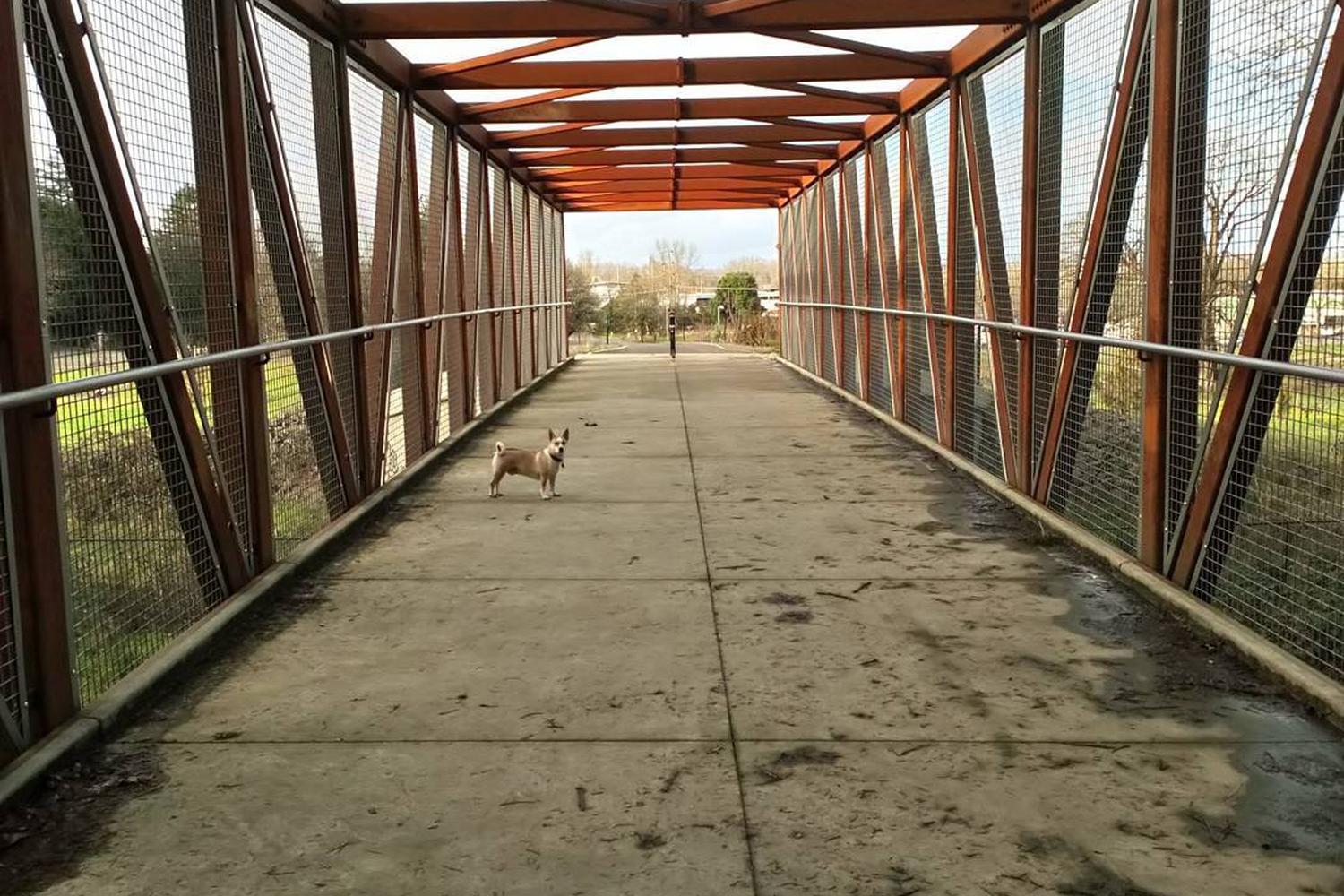 Pier Park 1