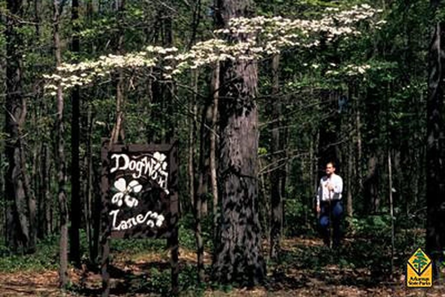 Lake Frierson State Park 2
