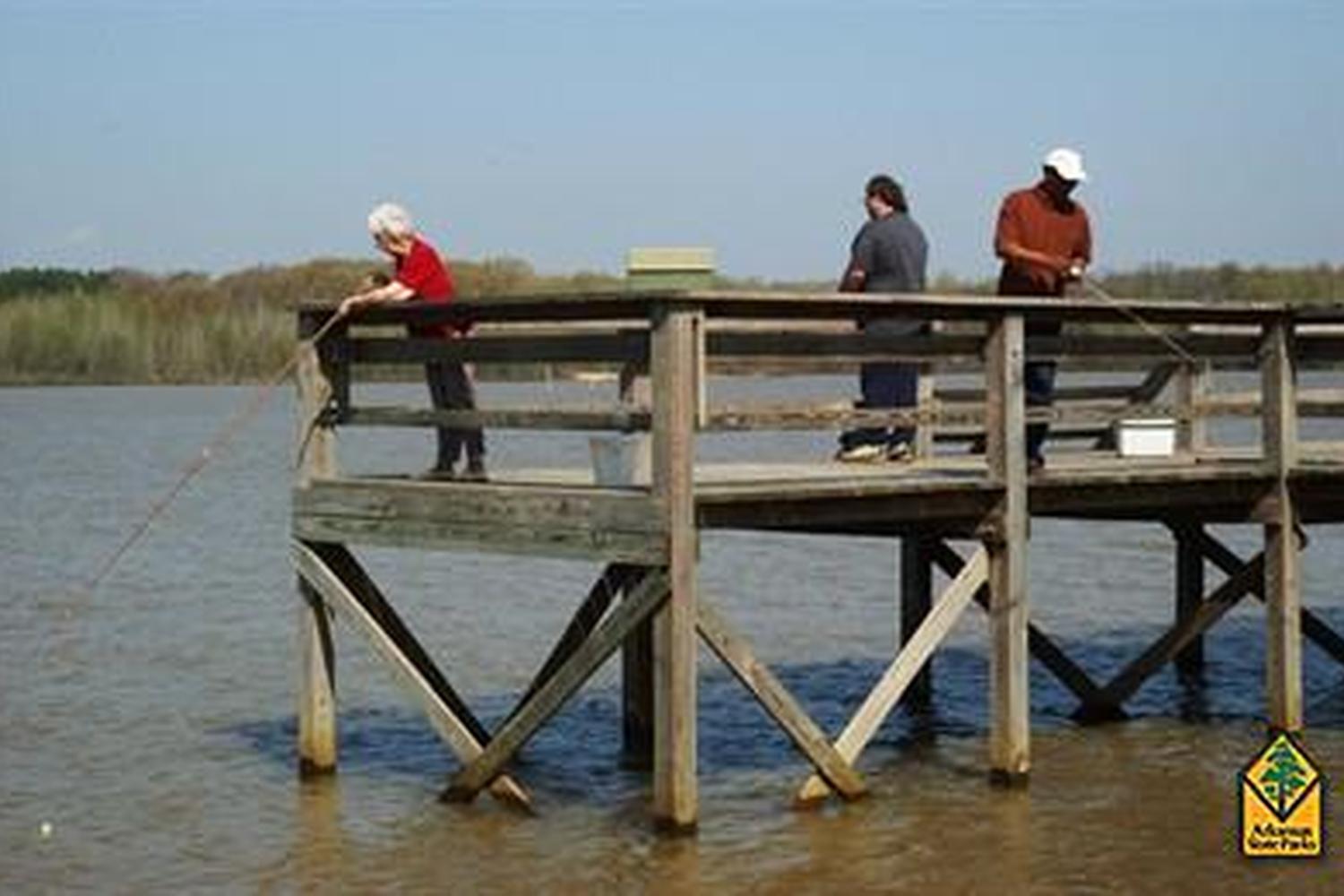 Lake Frierson State Park 3