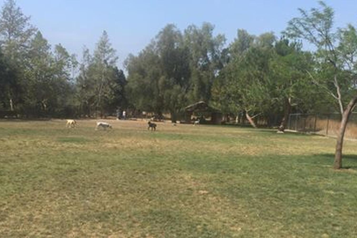 San Dimas Dog Park 4