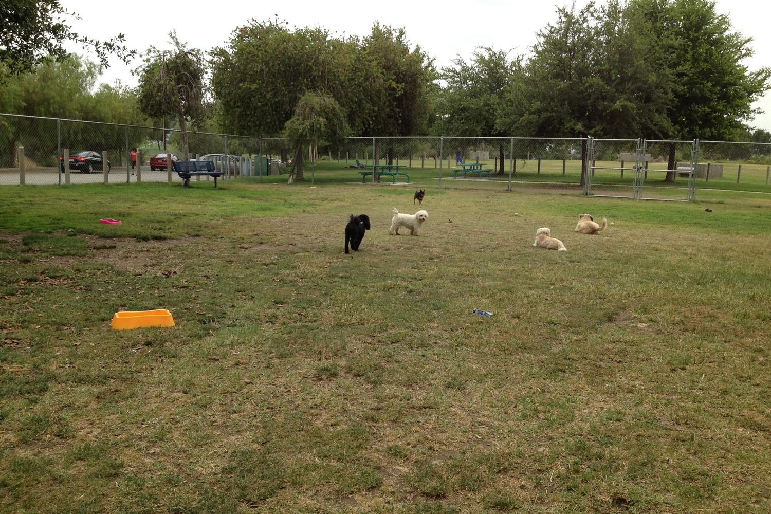 Loma Linda Large Dog Park 0