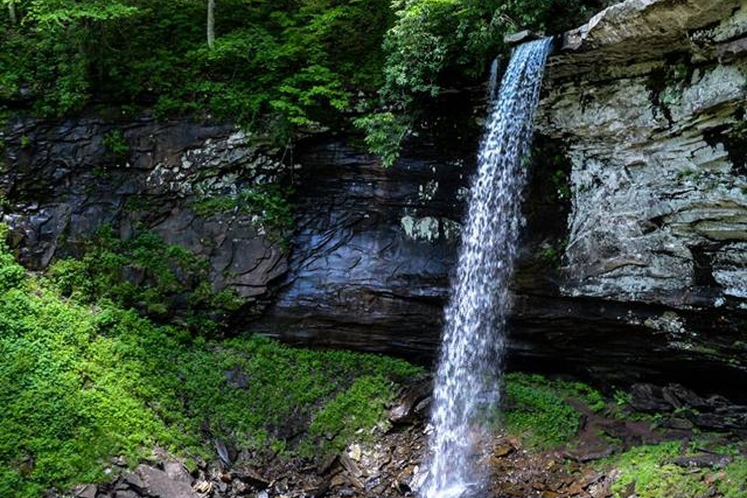 Monongahela National Forest 2