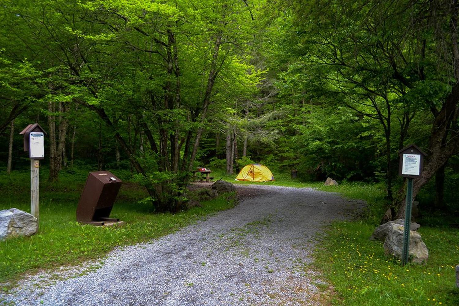 Monongahela National Forest 1