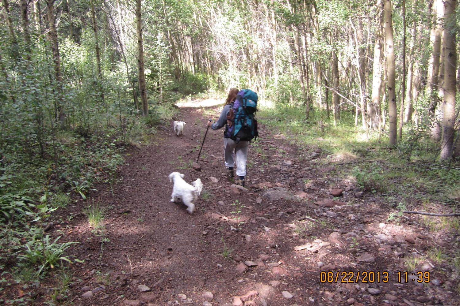 Waterdog Lake Trail 2