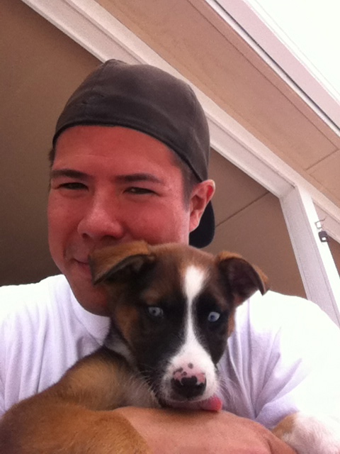 Dog Walker Woof Woof 0