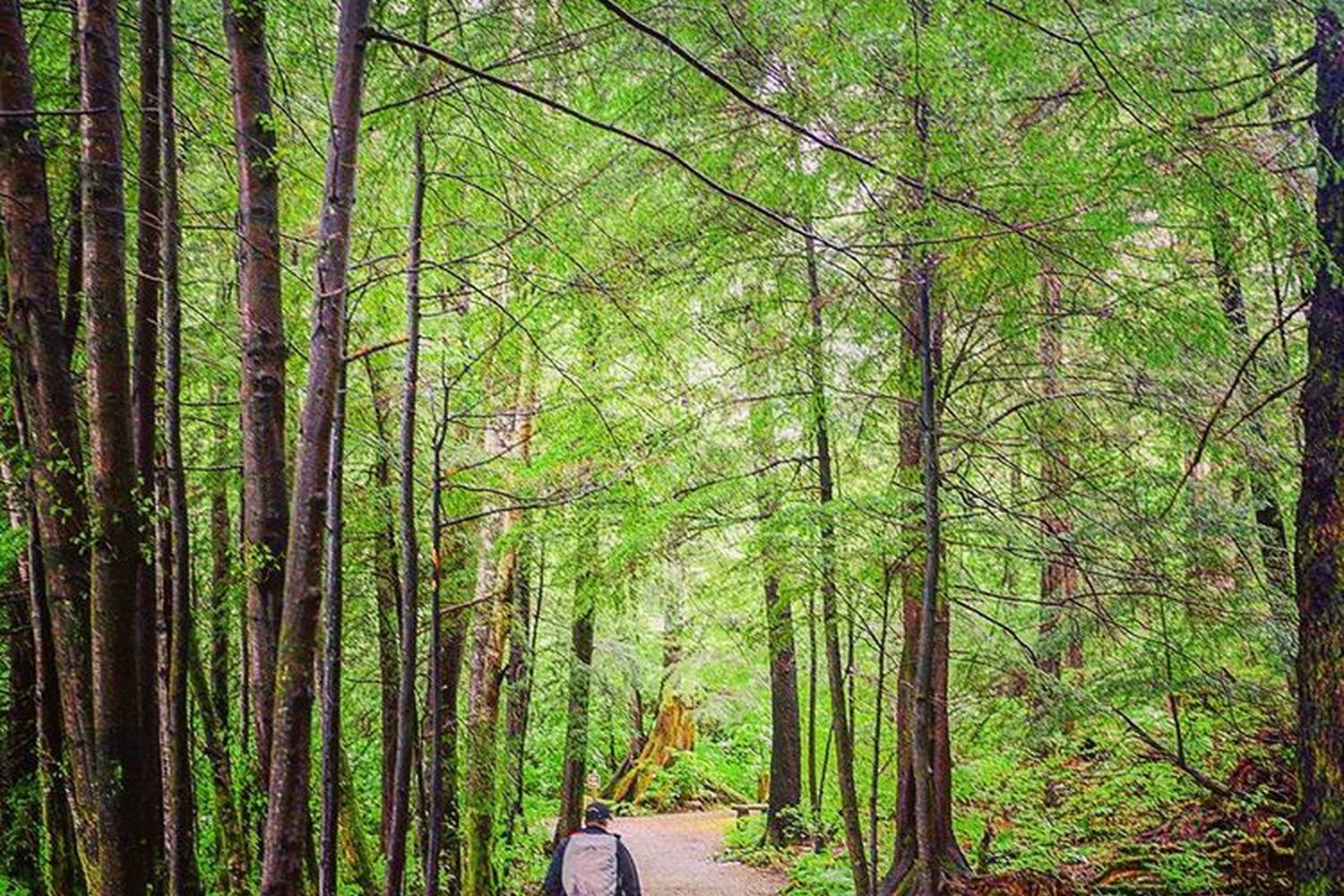 Totem Bight State Historical Park 3