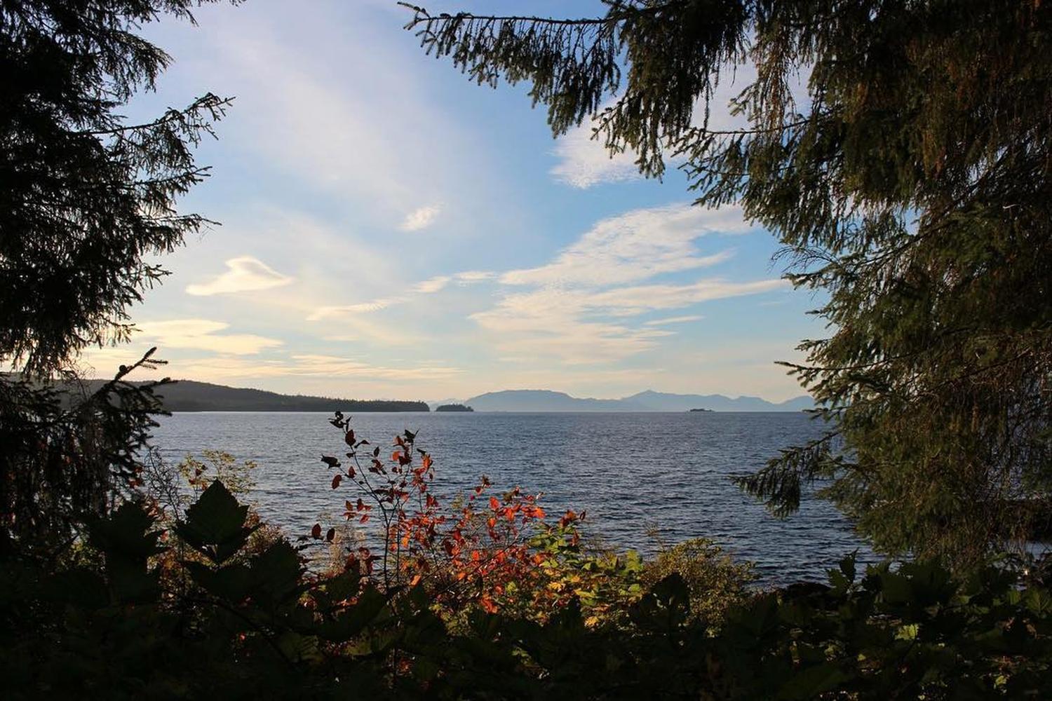 Totem Bight State Historical Park 0