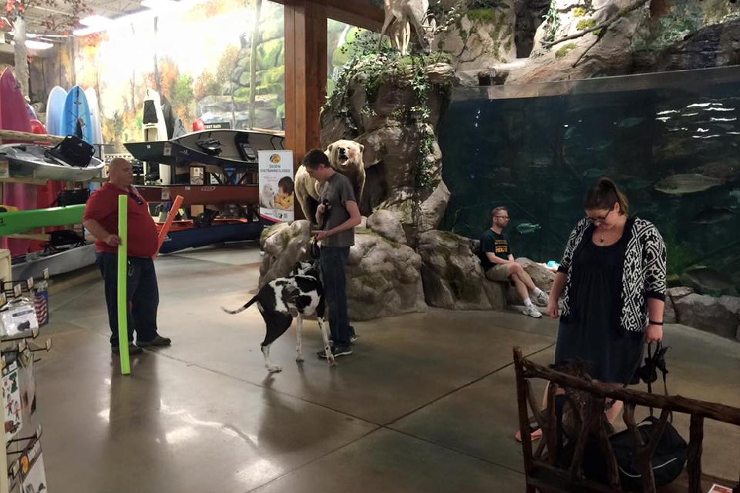Bass Pro Shops 0