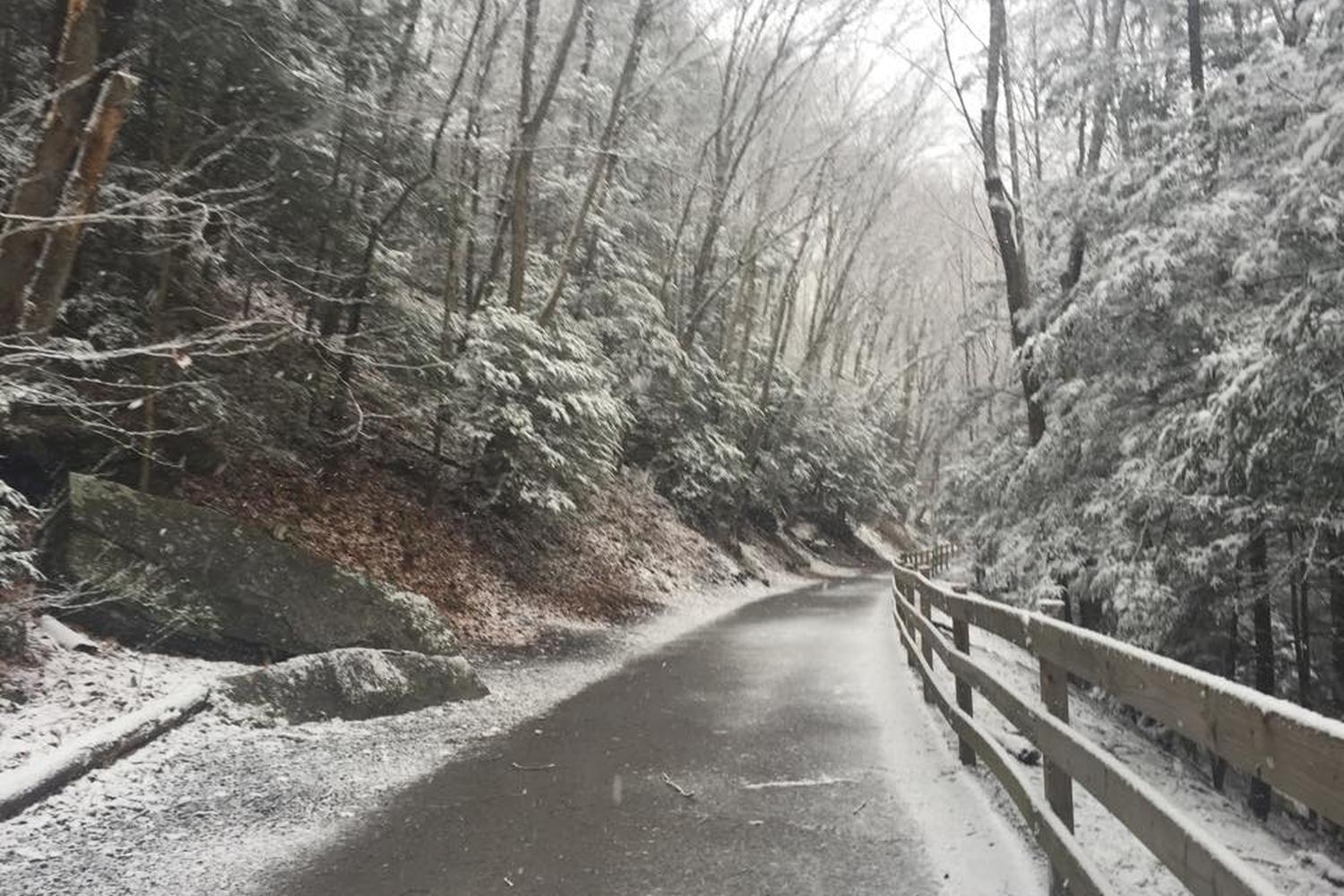 Promenade Shops at Evergreen Walk 3