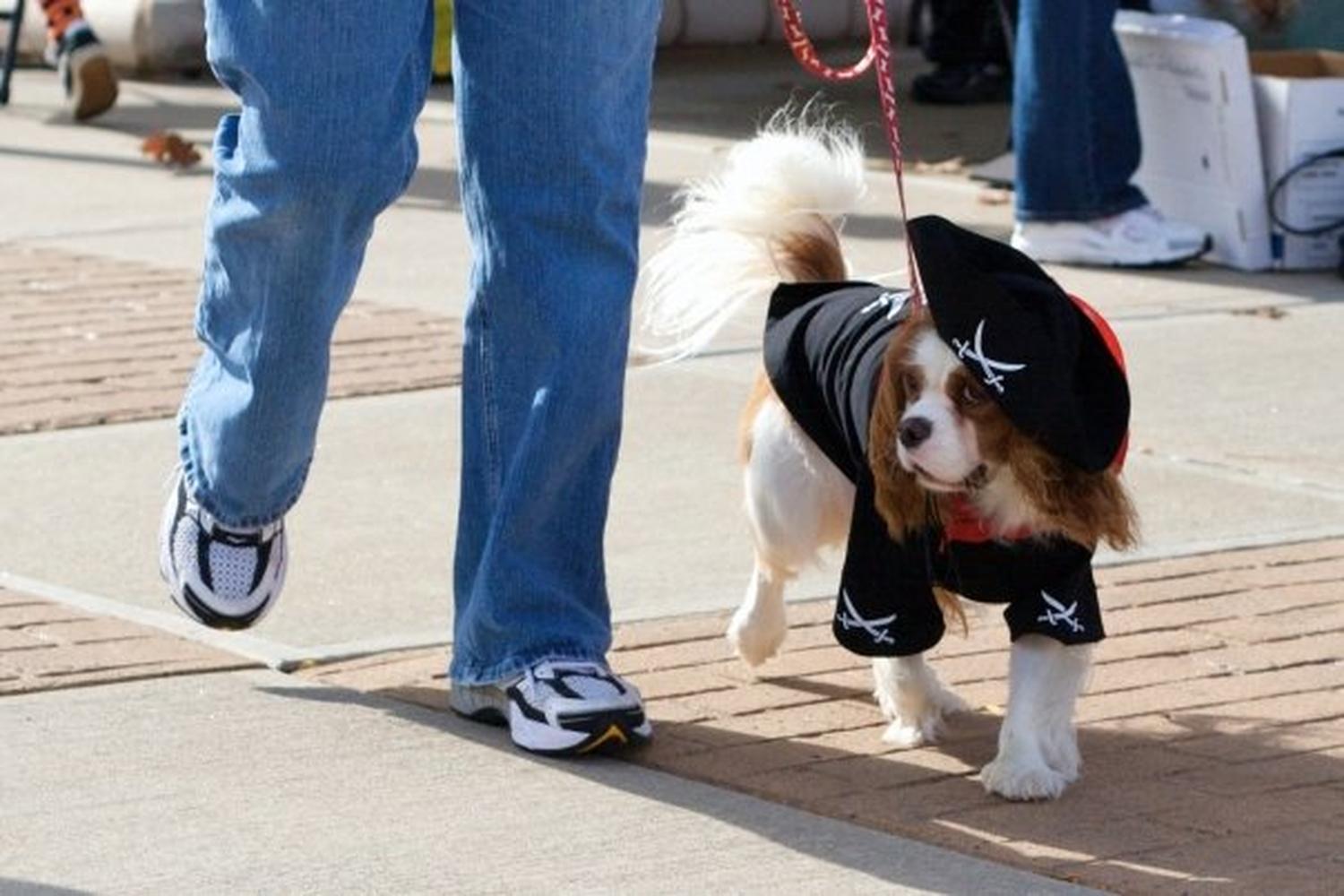 Promenade Shops at Evergreen Walk 4