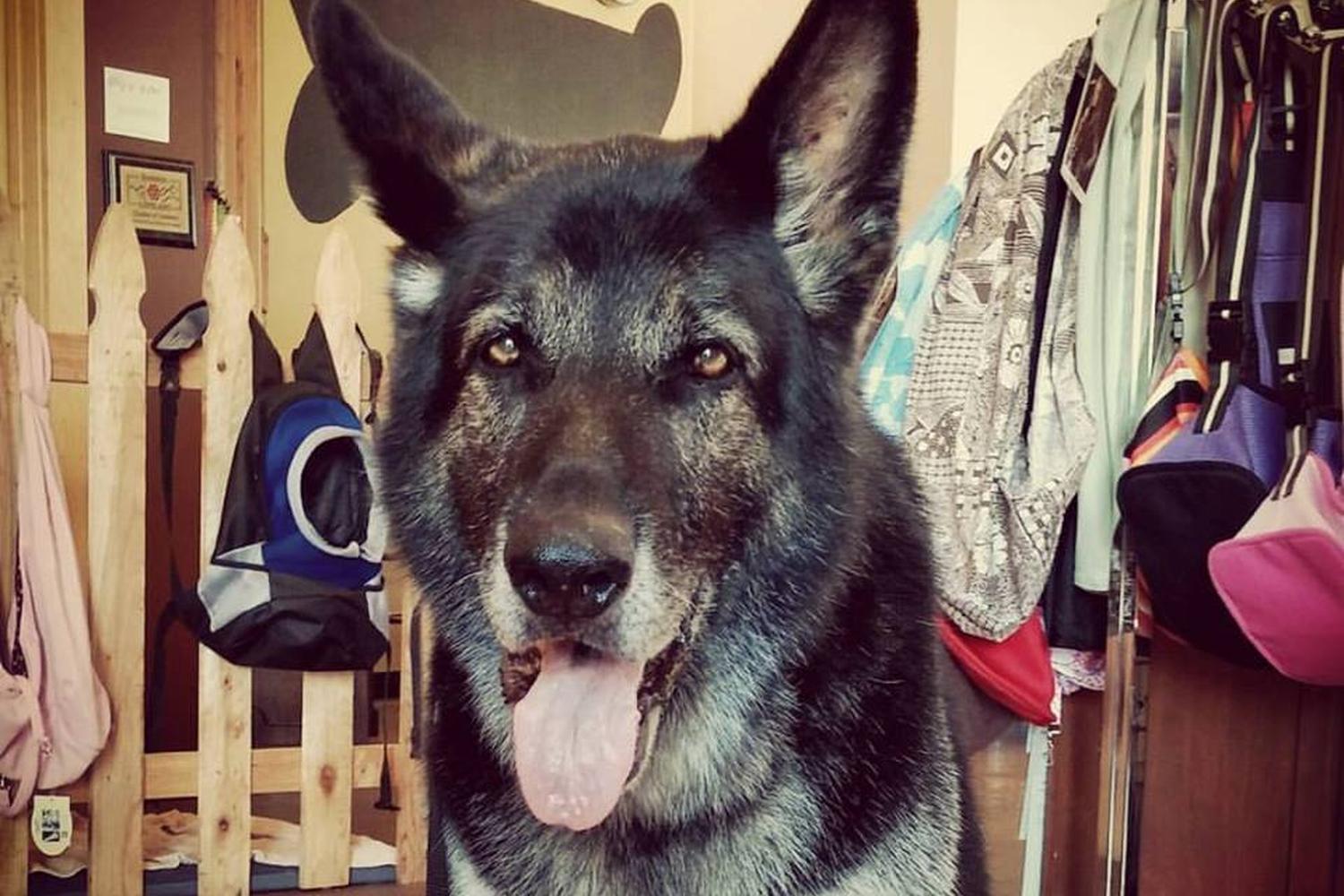 The Promenade Shops at Centerra 3