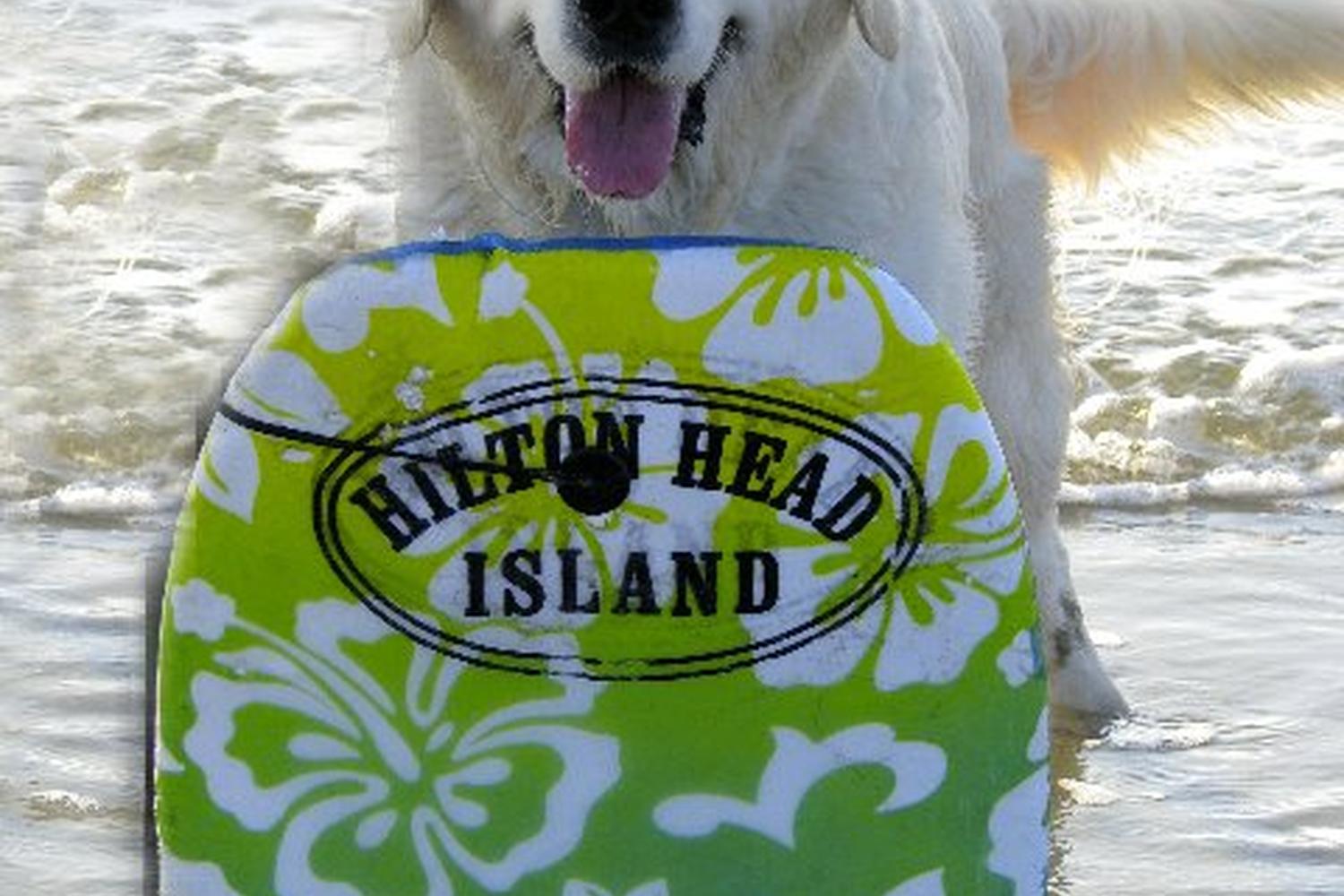 Coligny True Value Hardware 0