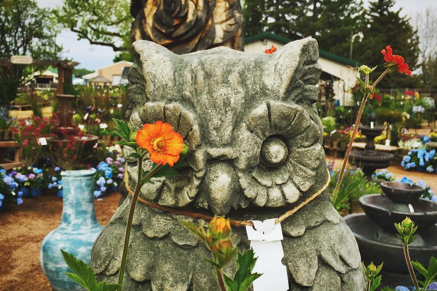 Fort Collins Nursery 3