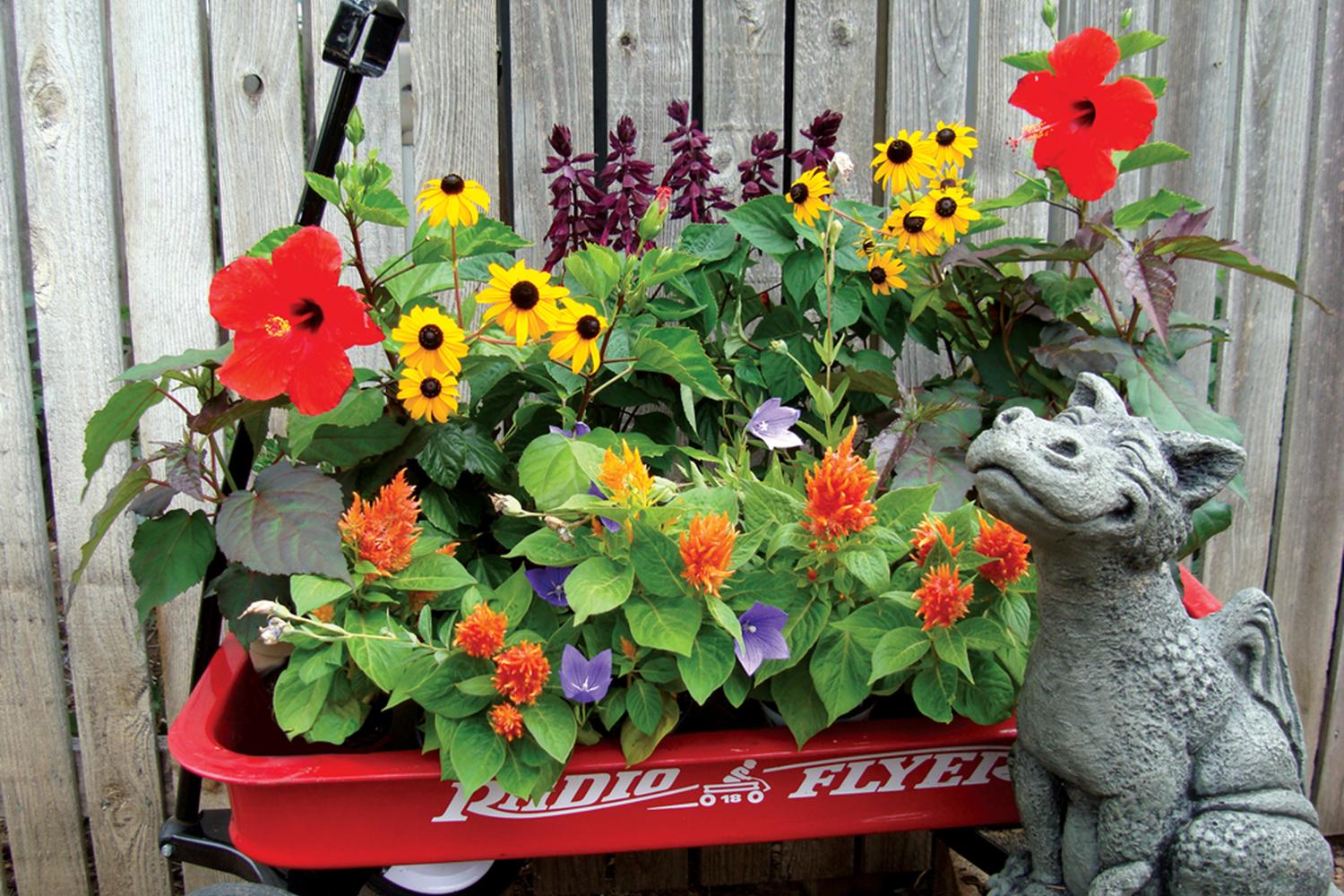 Fort Collins Nursery 2