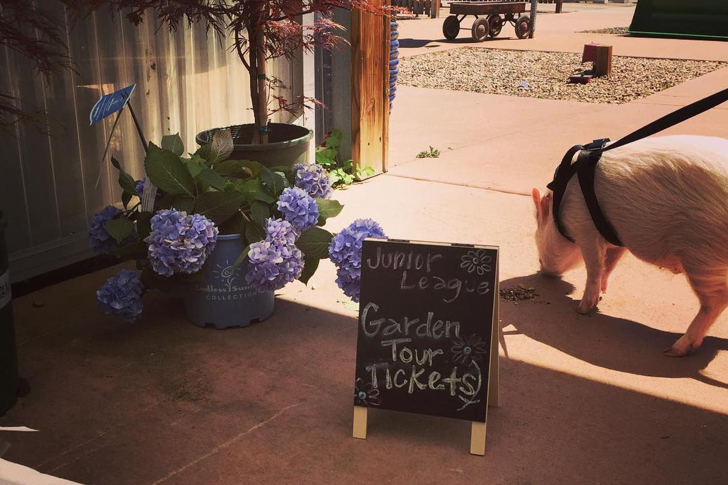 Fort Collins Nursery 5