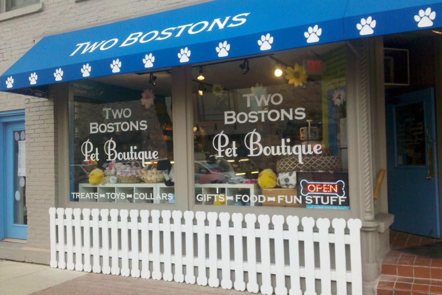 Two Bostons 6