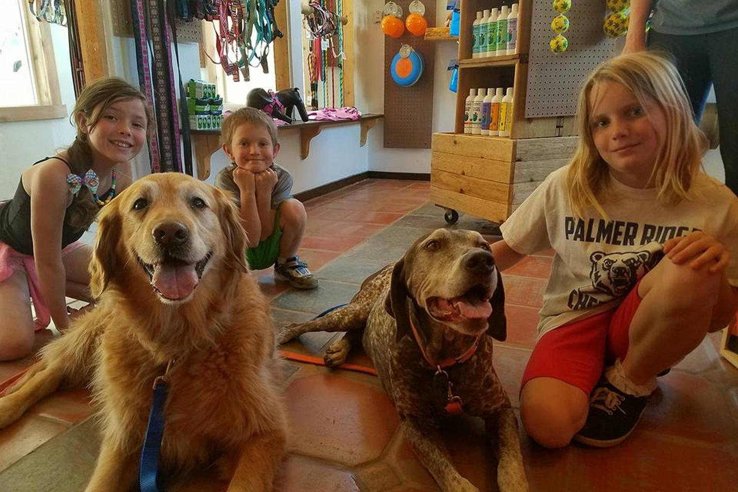 Ouray Dog Company 3