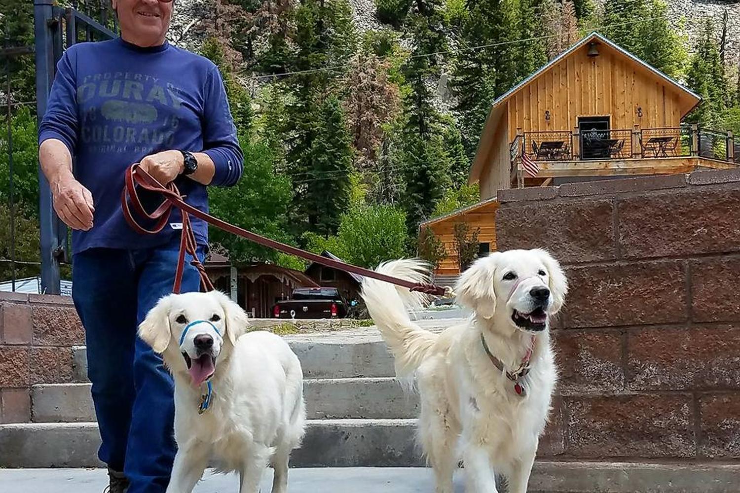 Ouray Dog Company 2