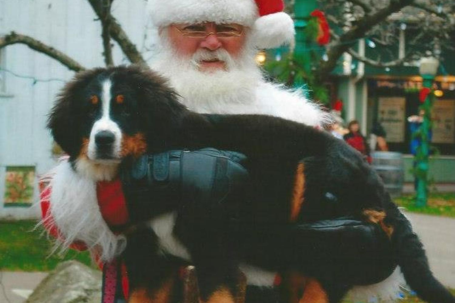 Olde Mistick Village 3