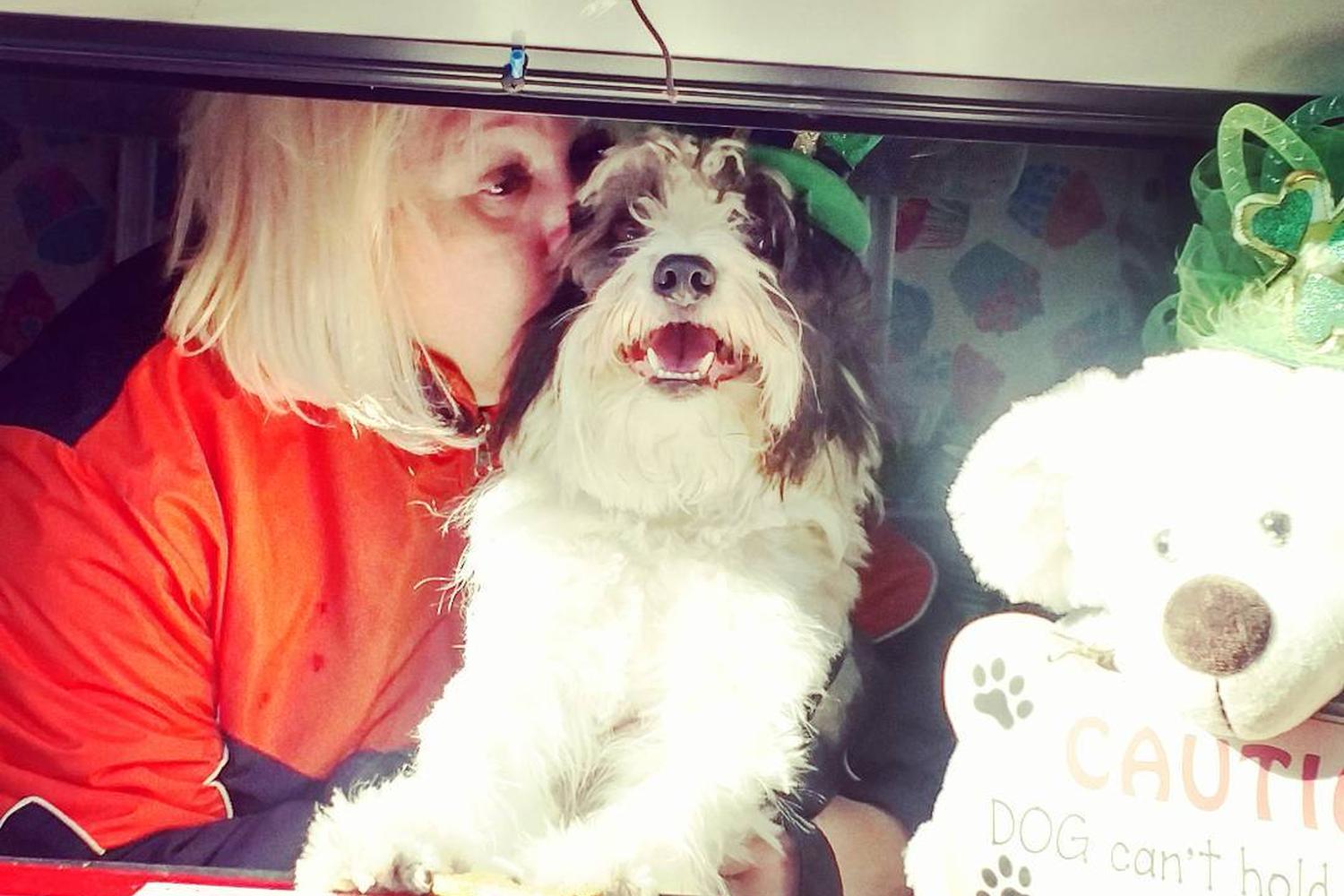 Wiggle Waggles / 6 Mutts Doggie Food Truck 4