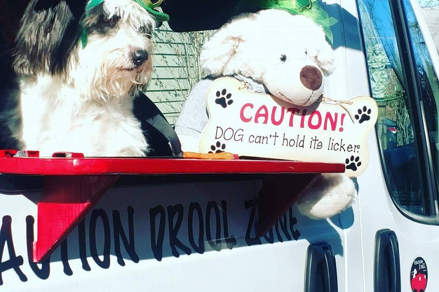 Wiggle Waggles / 6 Mutts Doggie Food Truck 0