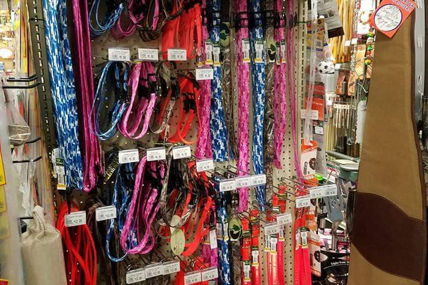 Bluewater Outriggers 7
