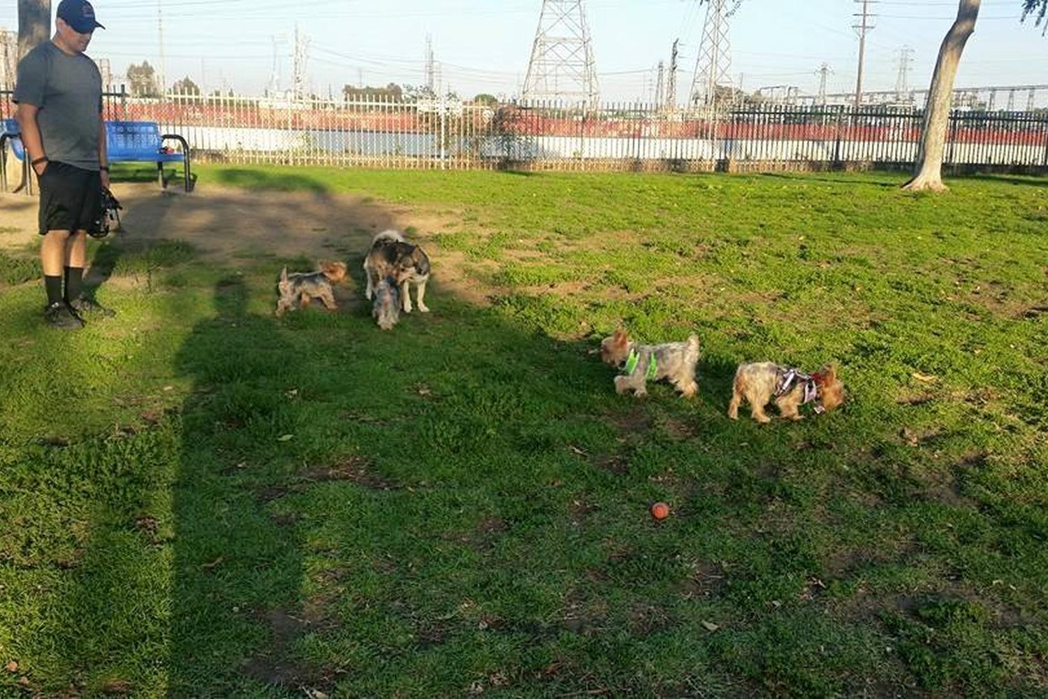 David R. Gafin Dog Park 3