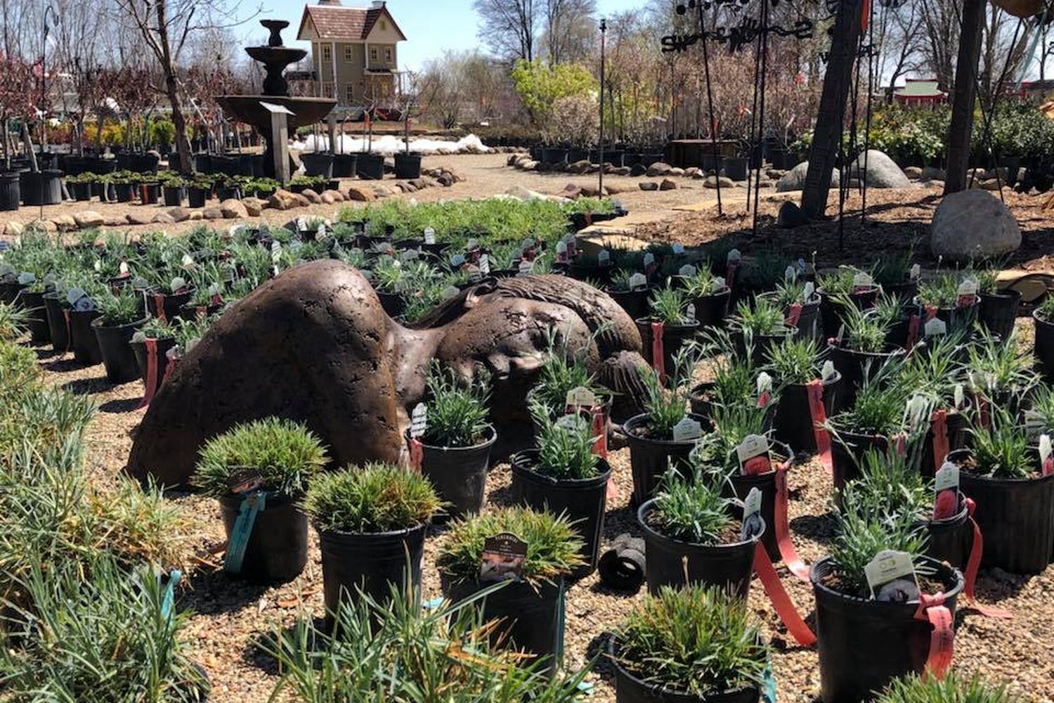 Linton's Enchanted Gardens 5