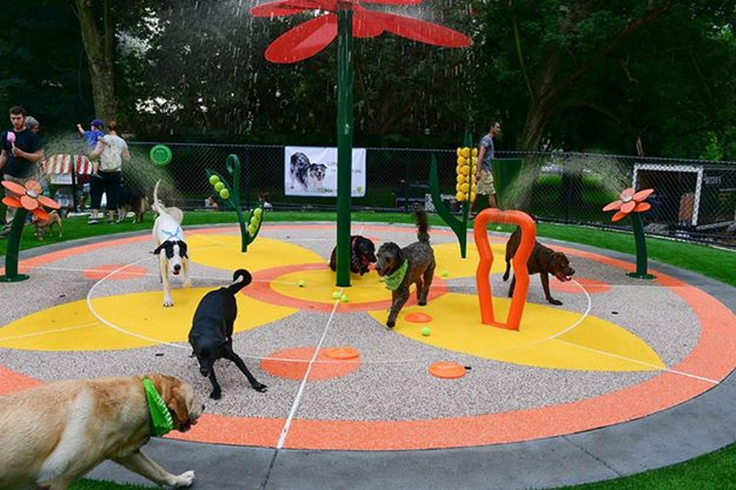 Beau's Dream Dog Park at Buchanan Park 1