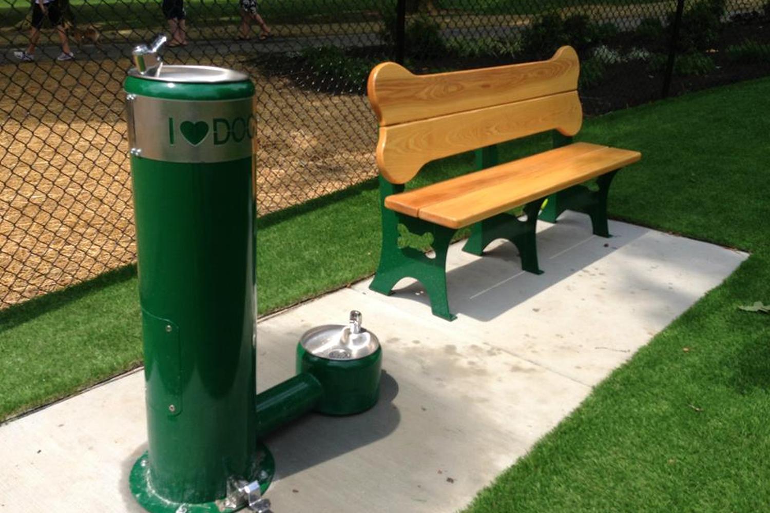 Beau's Dream Dog Park at Buchanan Park 7