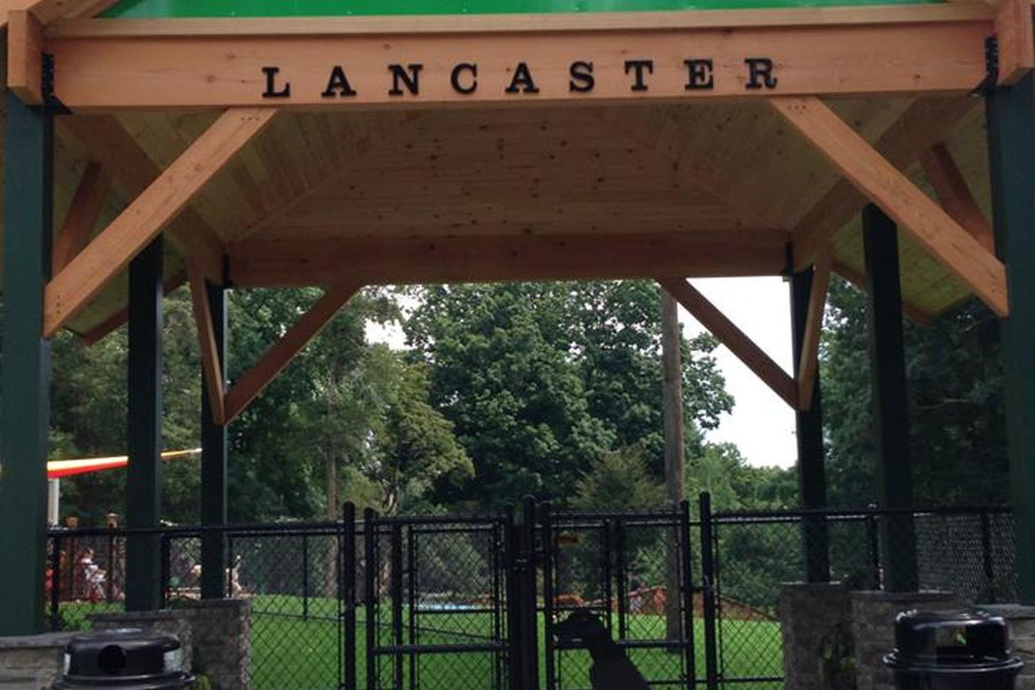 Beau's Dream Dog Park at Buchanan Park 6