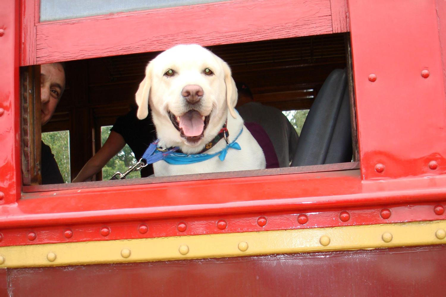 Conway Scenic Railroad 3