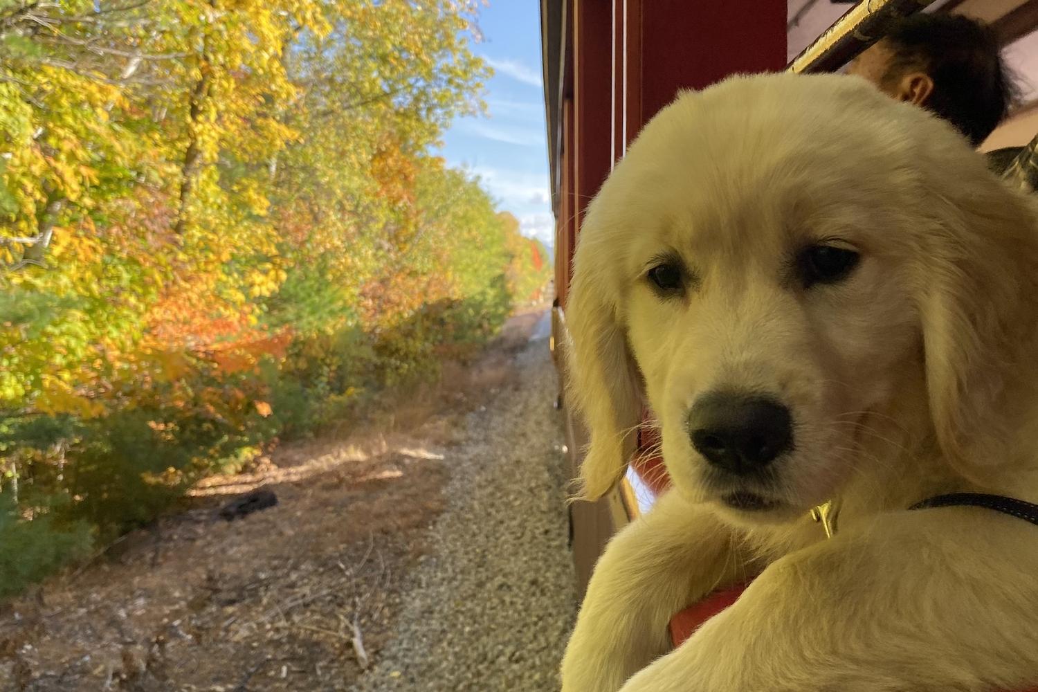 Conway Scenic Railroad 0