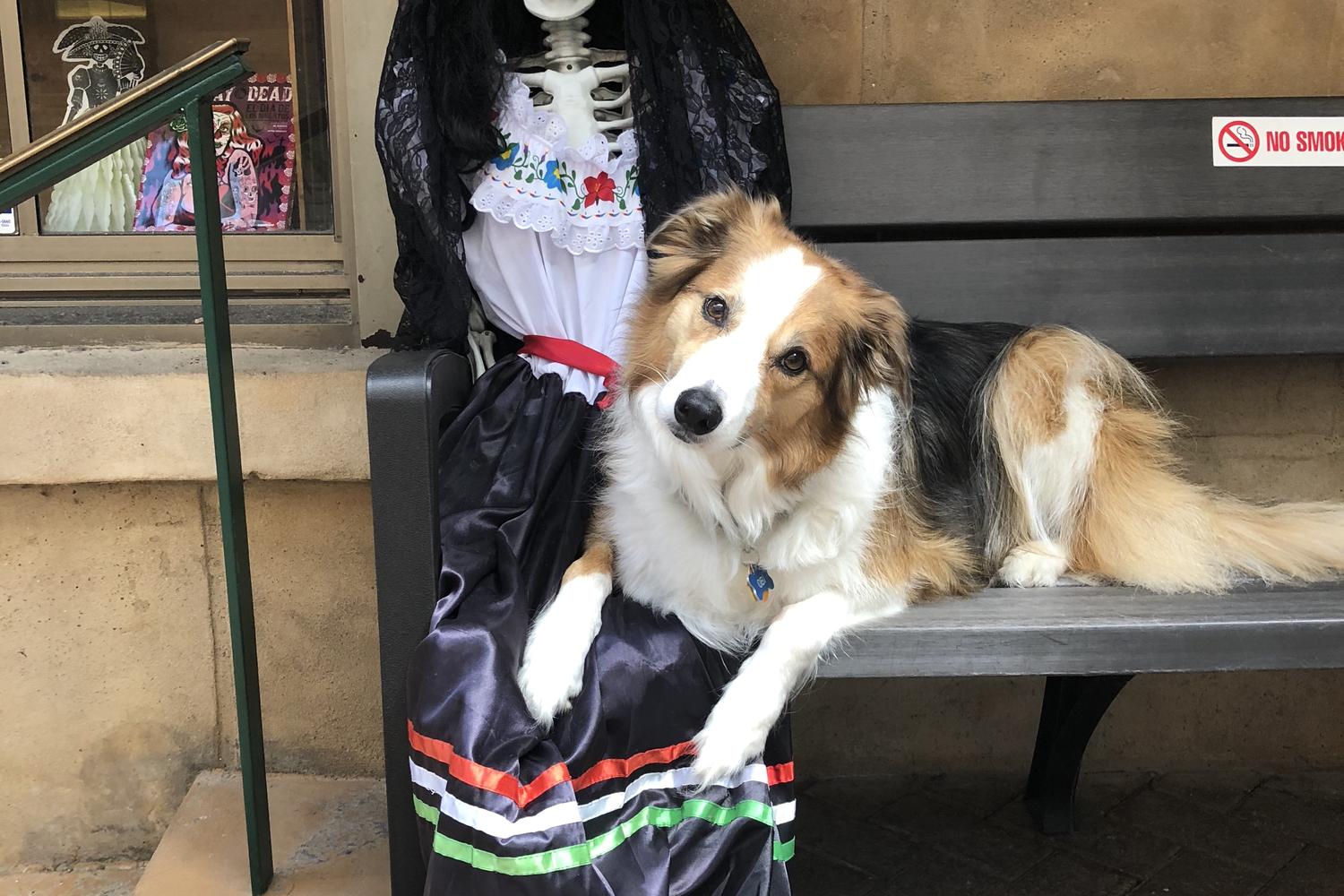 Sisters Grimm Ghost Tours 7