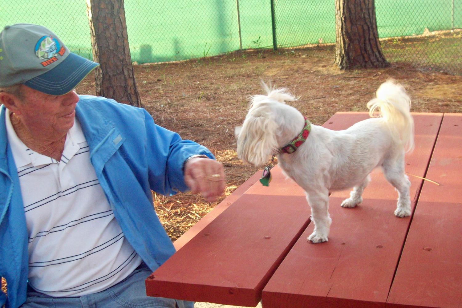 Herty Pines Dog Park 11