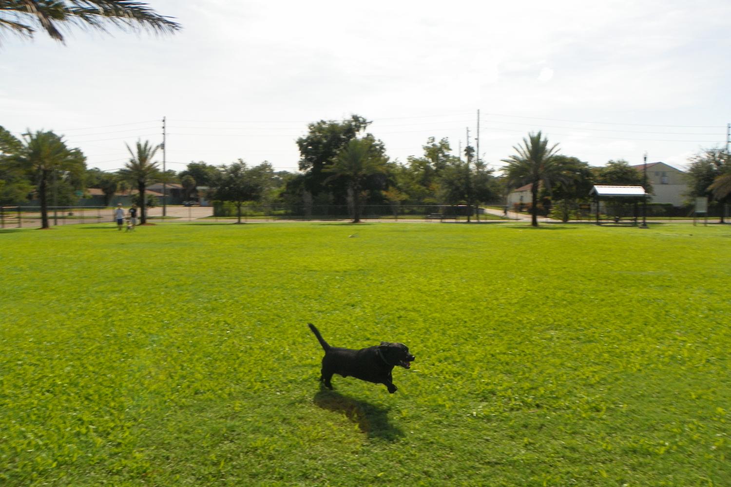 Confederate Point Dog Park 0