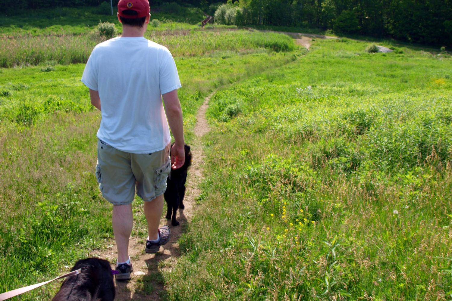 Quarry Run Dog Park 4