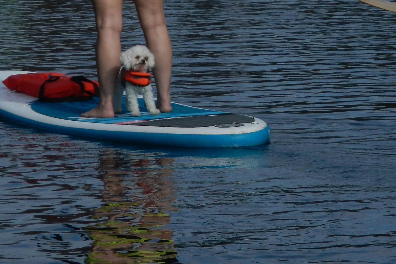 The Paddling Center at Shingle Creek 0