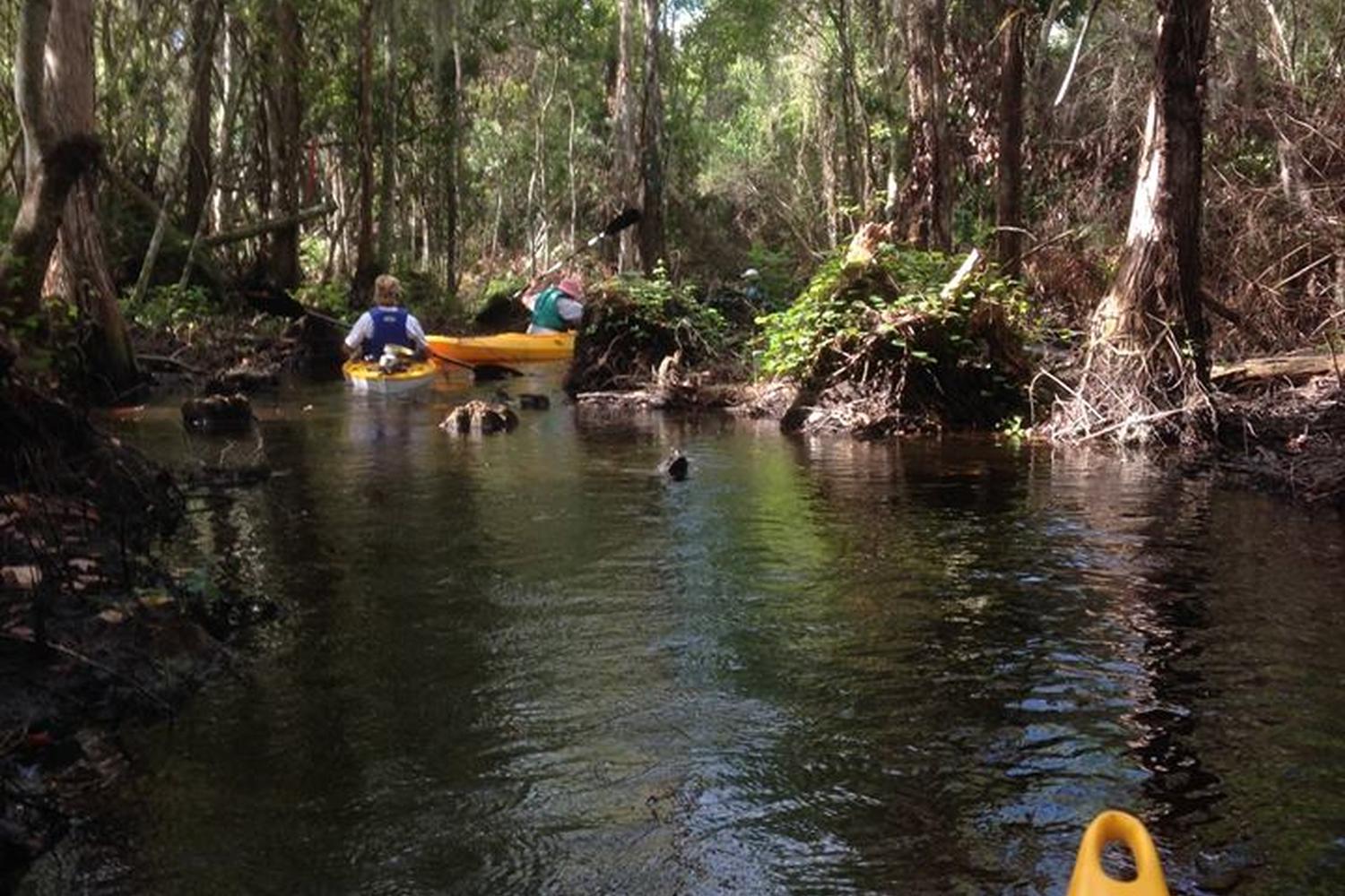 The Paddling Center at Shingle Creek 3