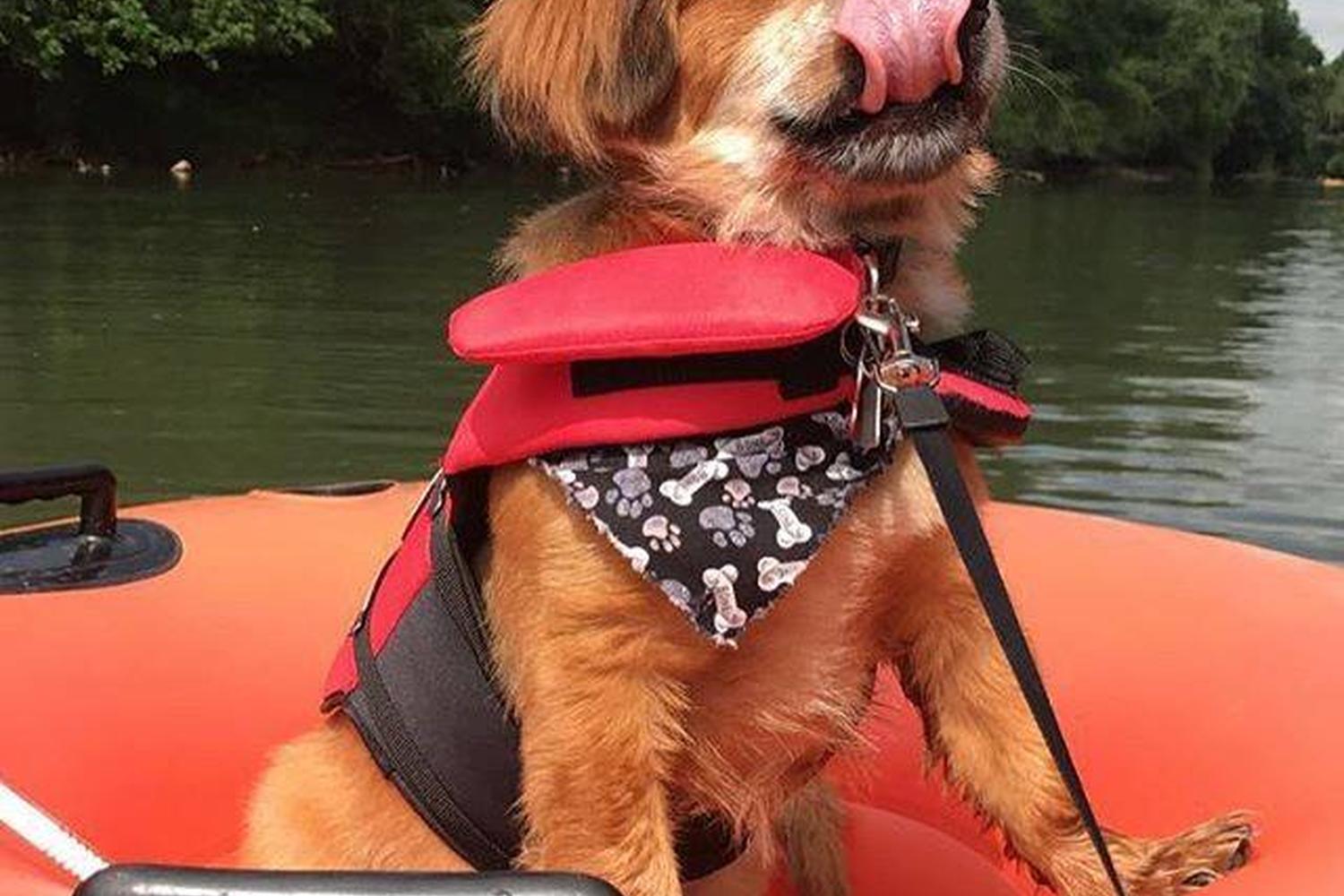 $10 River Tubing 0