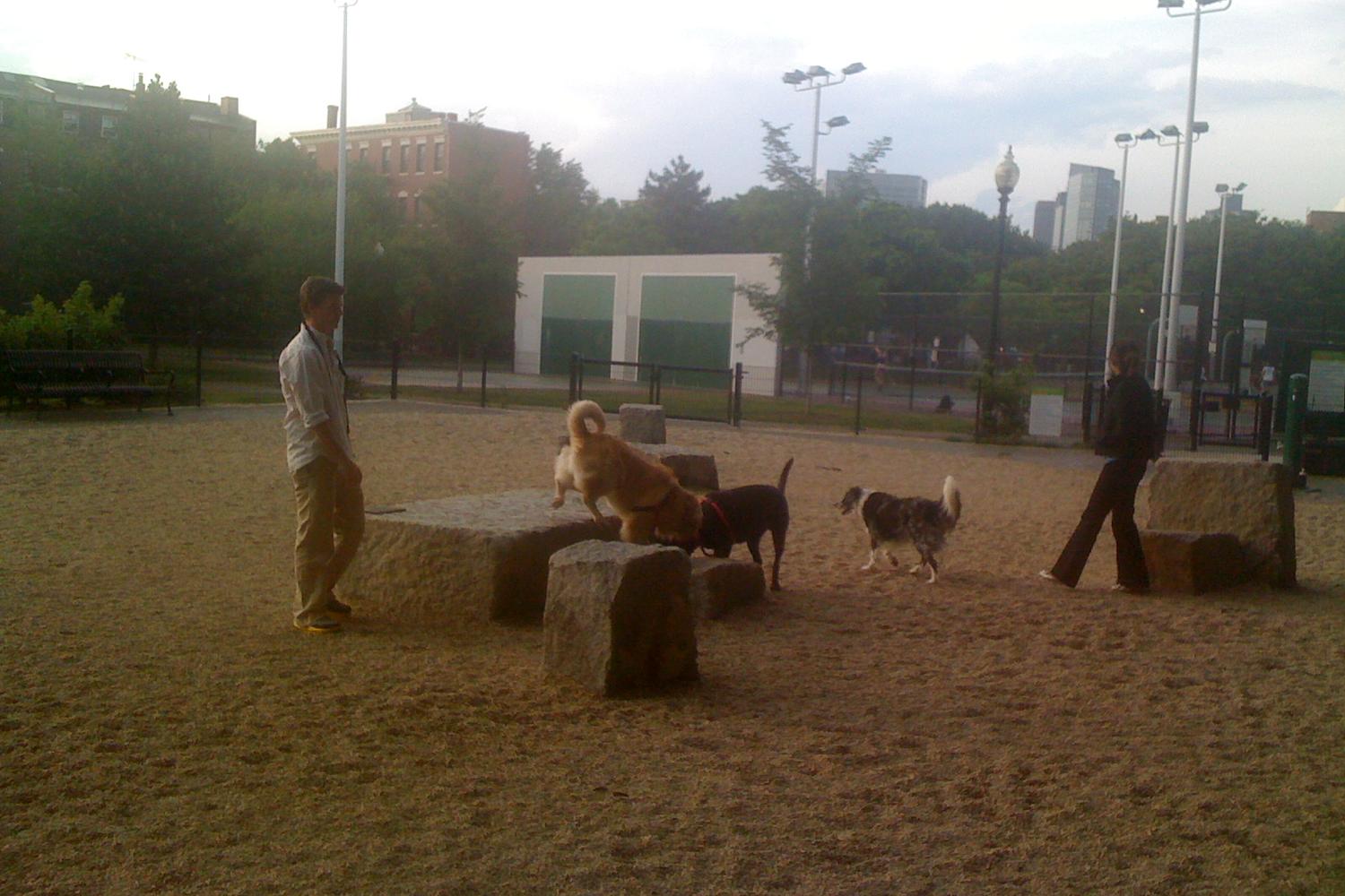 Peter's Park 2