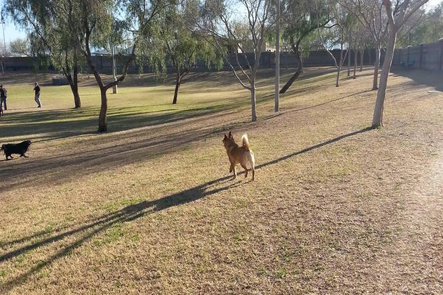 Quail Run Dog Park 5