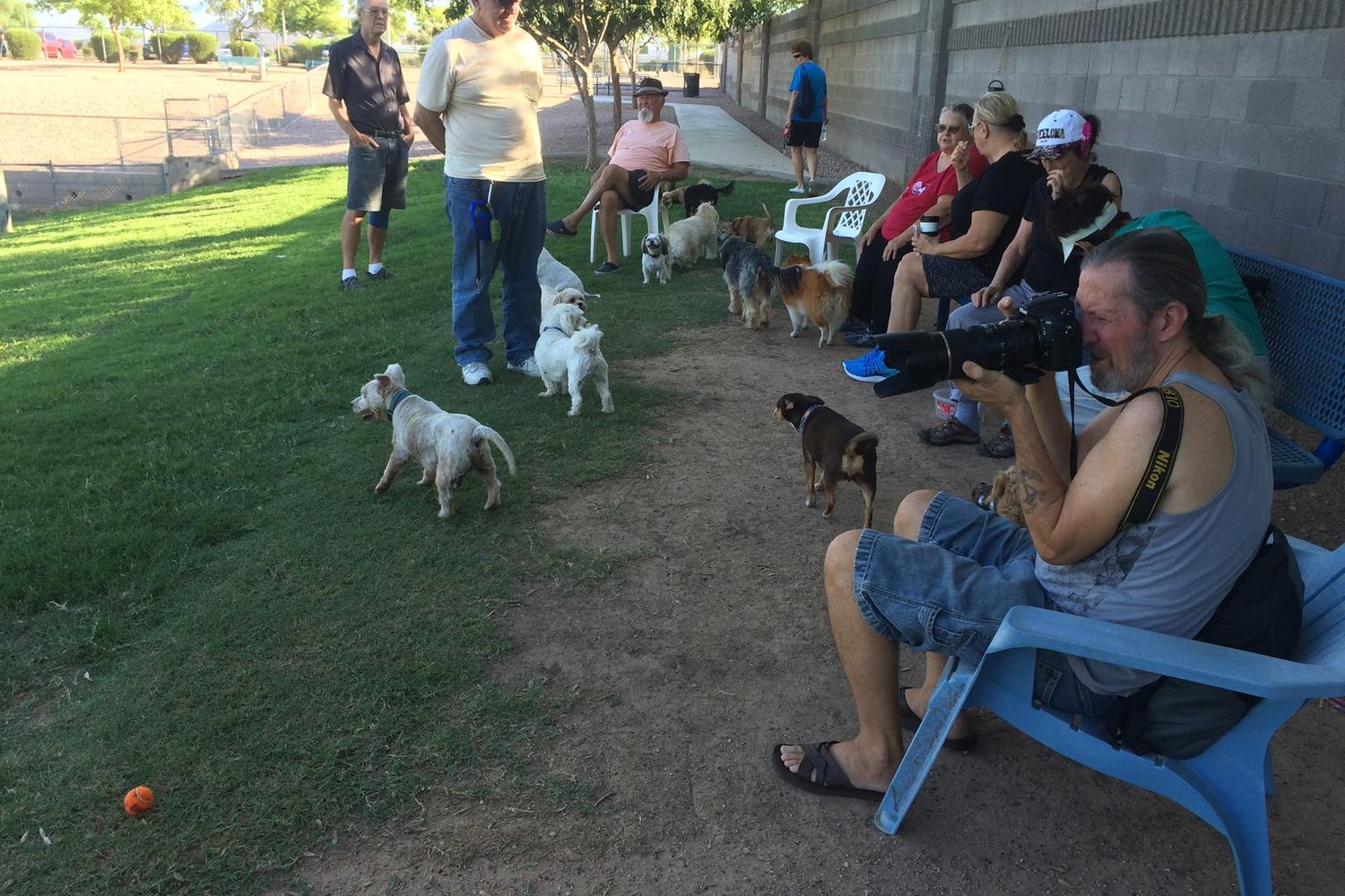 Quail Run Dog Park 4
